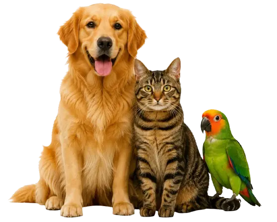 Happy Pets